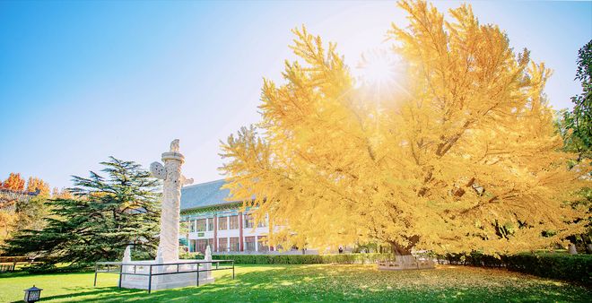 高考改革_专业选择新趋势_2026高考大类招生改革